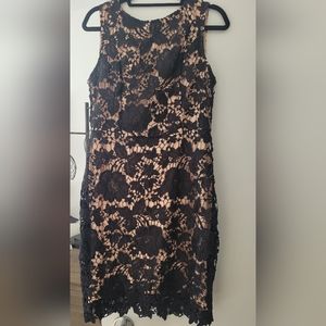 Label by Five Twelve Black Lace Dress Size 12.